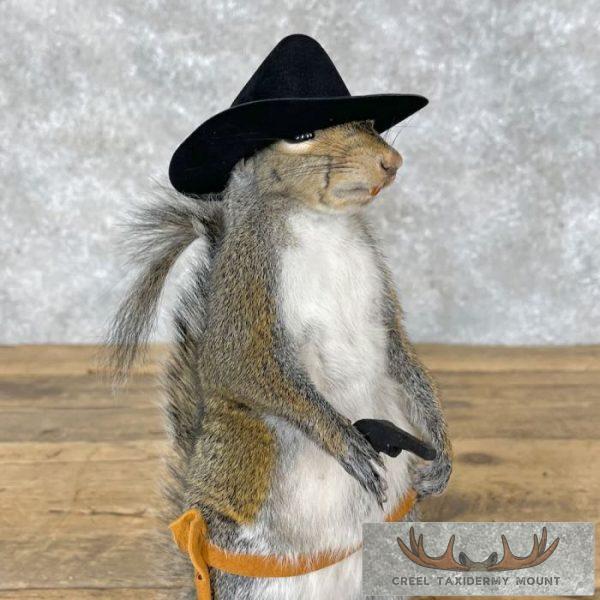 Cowboy Squirrel Novelty Taxidermy Mount For Sale - Image 7
