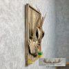 Ringneck Pheasant Taxidermy Bird Mount For Sale - Image 5