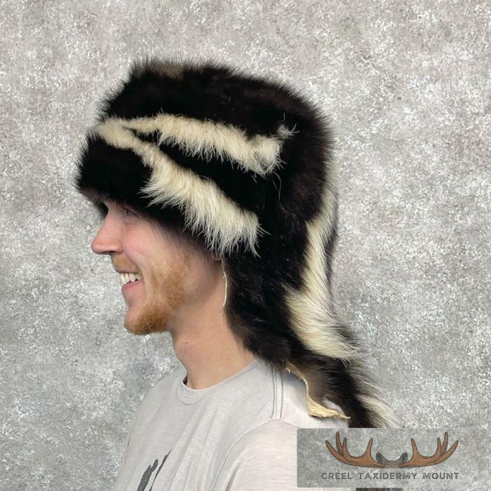 Striped Skunk Taxidermy Hat For Sale - Image 4