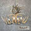 Four Light Whitetail Deer Antler Chandelier For Sale - Image 2