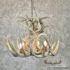 Four Light Whitetail Deer Antler Chandelier For Sale - Image 3