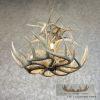 Four Light Whitetail Deer Antler Chandelier For Sale - Image 4