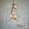 Four Light Elk Antler Chandelier For Sale - Image 2