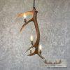 Four Light Elk Antler Chandelier For Sale - Image 3
