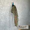 Blue Indian Peacock Taxidermy Mount For Sale - Image 4