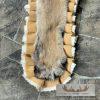 Mountain Lion Full Size Taxidermy Rug Mount For Sale - Image 9