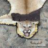 Mountain Lion Full Size Taxidermy Rug Mount For Sale - Image 10