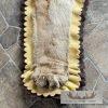 Mountain Lion Full Size Taxidermy Rug Mount For Sale - Image 7