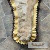 Mountain Lion Full Size Taxidermy Rug Mount For Sale - Image 8