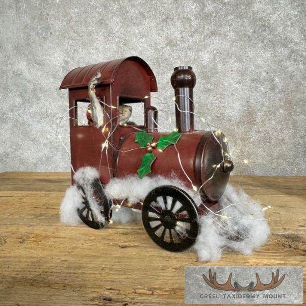 Christmas Squirrels Novelty Taxidermy Mount For Sale - Image 10