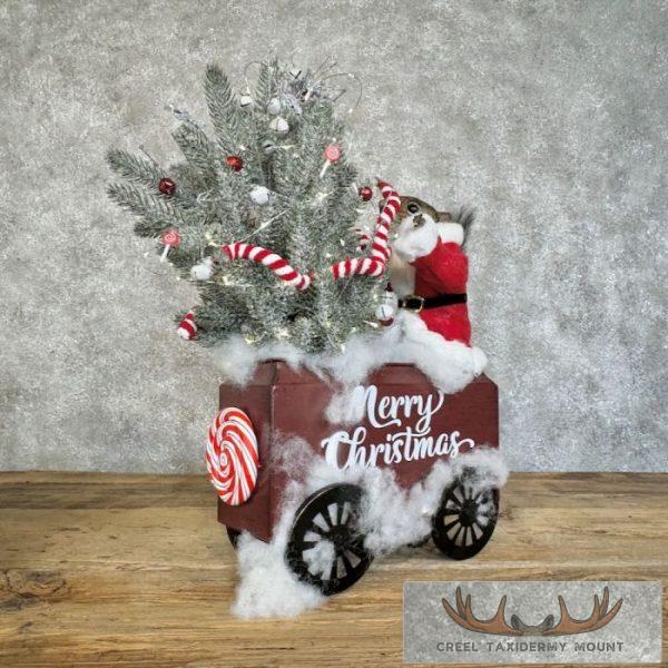 Christmas Squirrels Novelty Taxidermy Mount For Sale - Image 12