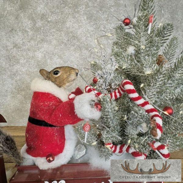 Christmas Squirrels Novelty Taxidermy Mount For Sale - Image 14