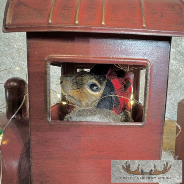 Christmas Squirrels Novelty Taxidermy Mount For Sale - Image 15