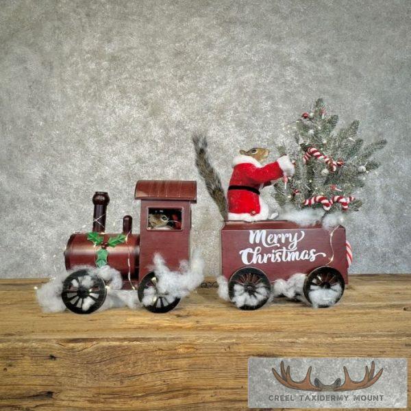 Christmas Squirrels Novelty Taxidermy Mount For Sale - Image 2
