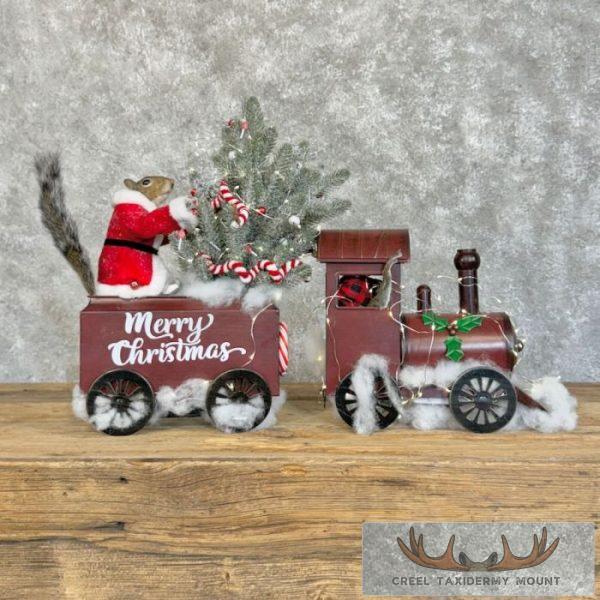 Christmas Squirrels Novelty Taxidermy Mount For Sale - Image 5