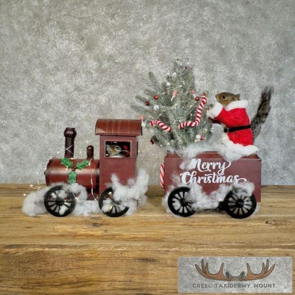 Christmas Squirrels Novelty Taxidermy Mount For Sale - Image 6