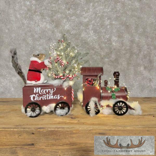 Christmas Squirrels Novelty Taxidermy Mount For Sale - Image 7