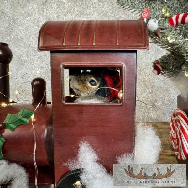 Christmas Squirrels Novelty Taxidermy Mount For Sale - Image 8