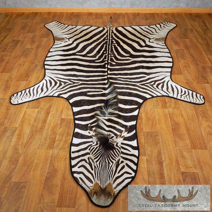 Zebra Rug Head African Zebra Taxidermy Rug Mount For Sale - Creel Taxidermy