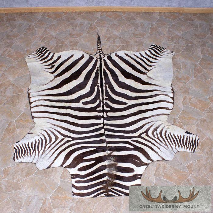 African Burchell's Zebra Rug