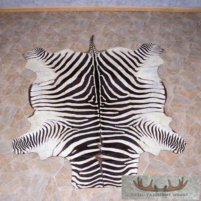 African Burchell's Zebra Rug