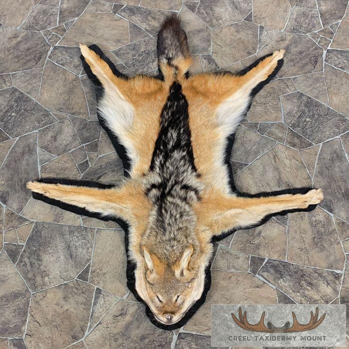 Black-backed Jackal Full-Size Taxidermy Rug For Sale