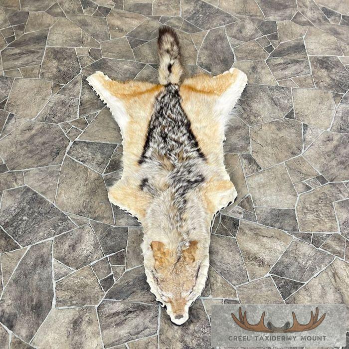 Jackal Full-Size Taxidermy Rug For Sale