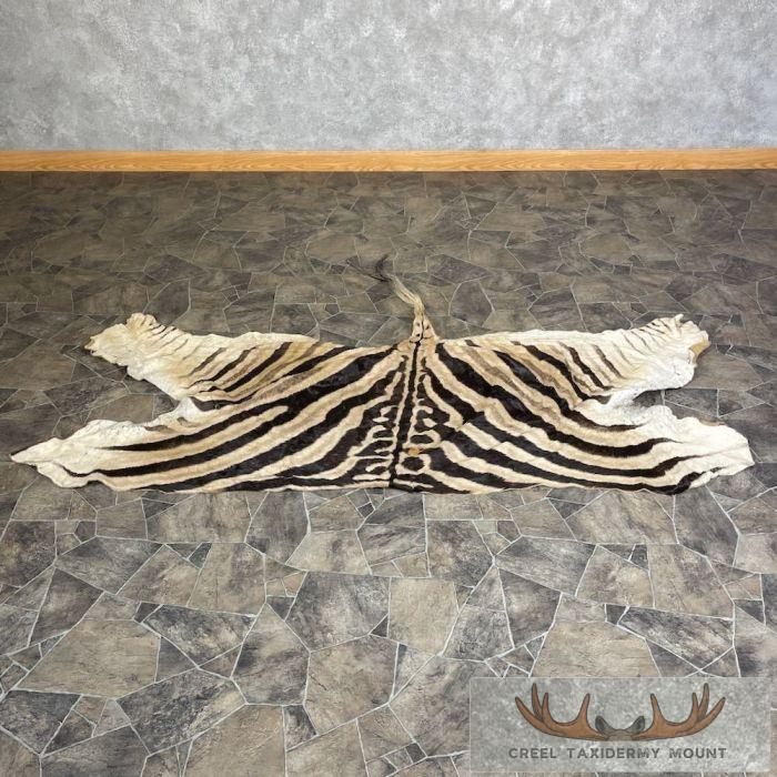 African Zebra Back Hide For Sale