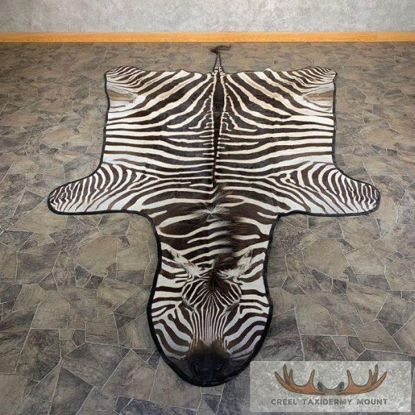African Zebra Full-Size Taxidermy Rug For Sale