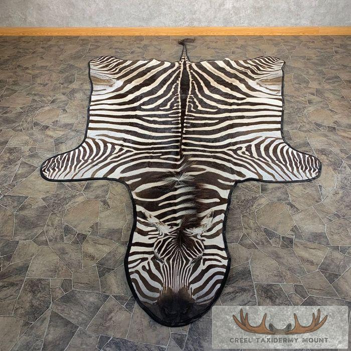 African Zebra Full-Size Taxidermy Rug For Sale