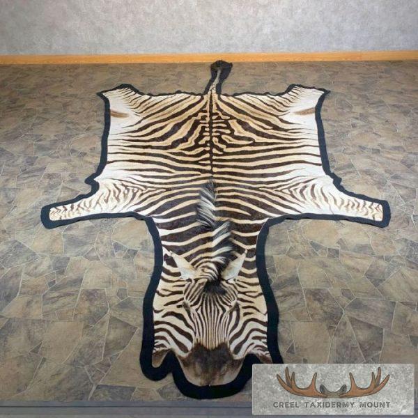 African Zebra Full-Size Taxidermy Rug For Sale