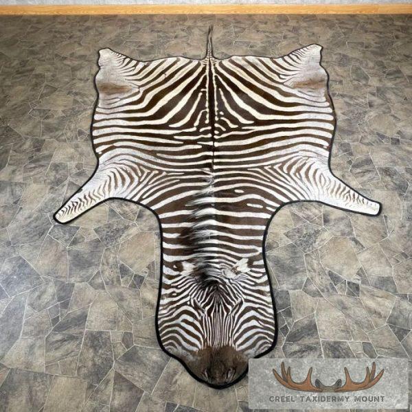 African Zebra Full-Size Taxidermy Rug For Sale