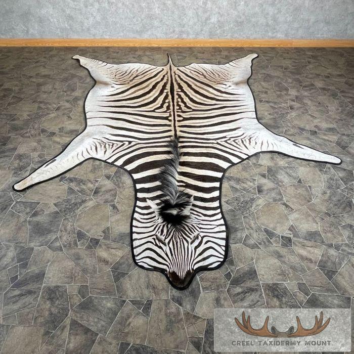 African Zebra Full-Size Taxidermy Rug For Sale