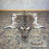 African Zebra Full-Size Taxidermy Rug For Sale