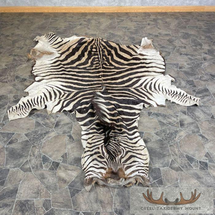 African Zebra Full Hide For Sale