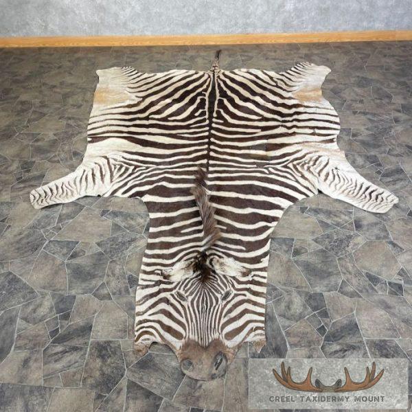 African Zebra Taxidermy Rug For Sale