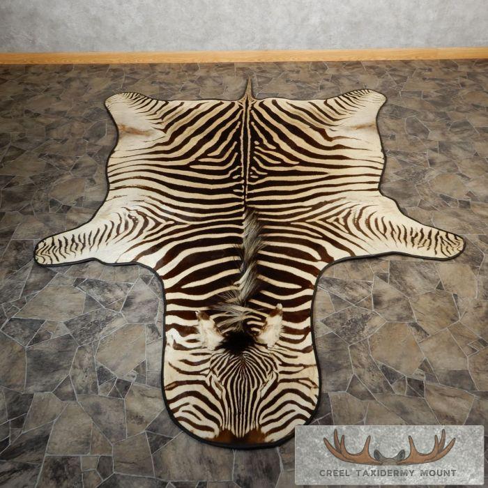 African Zebra Taxidermy Rug Mount For Sale