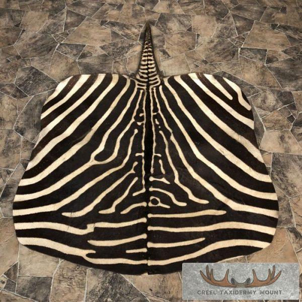 African Zebra Taxidermy Hide For Sale
