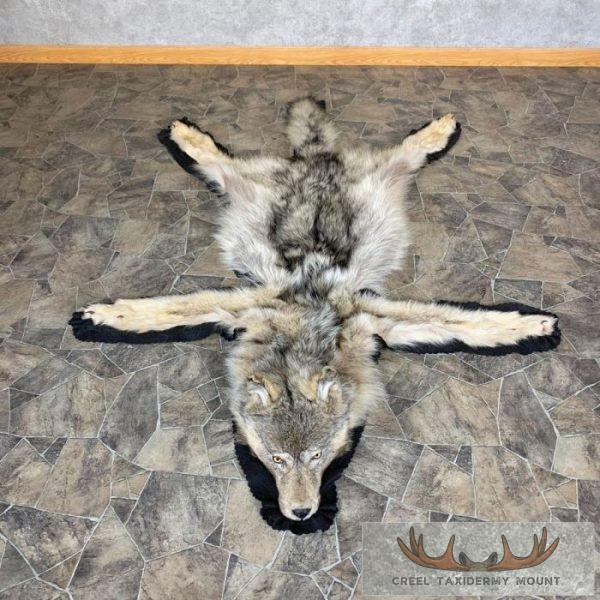 Alaskan Grey Wolf Full Rug Taxidermy Mount For Sale