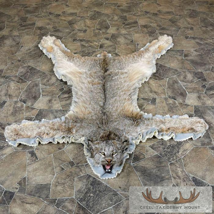 Alaskan Lynx Taxidermy Full Rug Mount For Sale