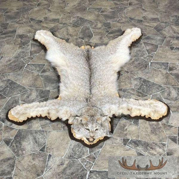 Alaskan Lynx Taxidermy Full Rug Mount For Sale