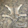 Alaskan Lynx Taxidermy Full Rug Mount For Sale
