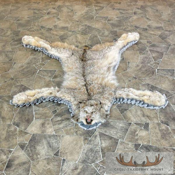 Alaskan Lynx Taxidermy Full Rug Mount For Sale