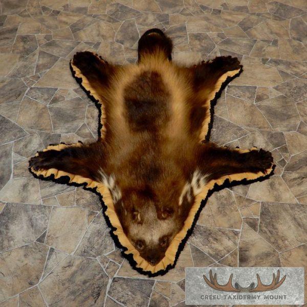 Alaskan Wolverine Rug Taxidermy Mount For Sale