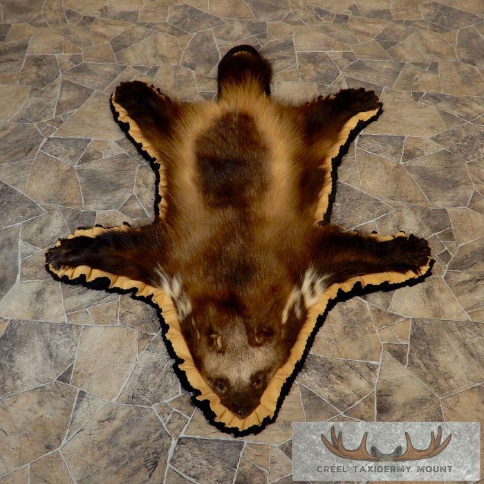 Alaskan Wolverine Rug Taxidermy Mount For Sale