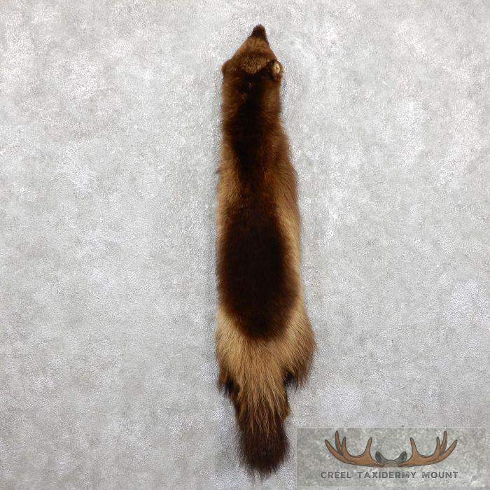 Alaskan Wolverine Tanned Hide For Sale