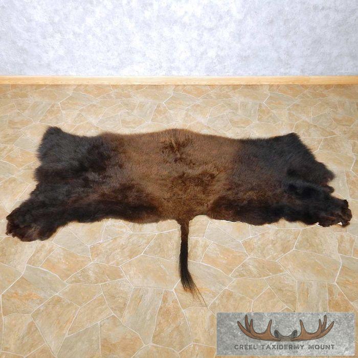 Buffalo Taxidermy Hide Rug For Sale