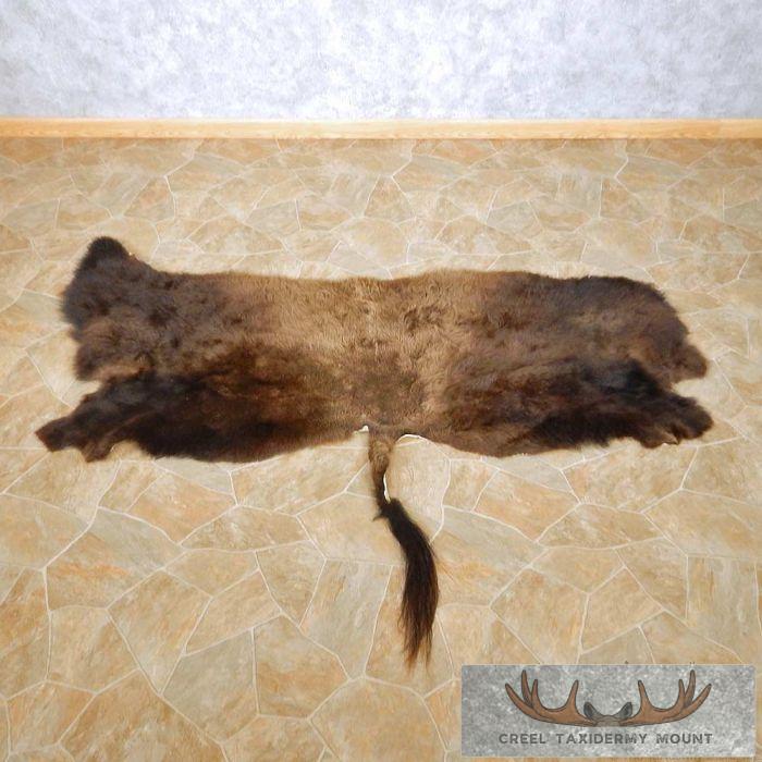 Buffalo Taxidermy Hide Rug For Sale