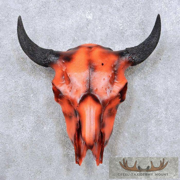 American Buffalo/Bison Skull Taxidermy Mount For Sale