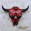 American Buffalo (Bison) Skull Taxidermy Mount For Sale